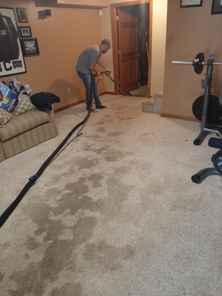 Westfield Carpet Cleaning