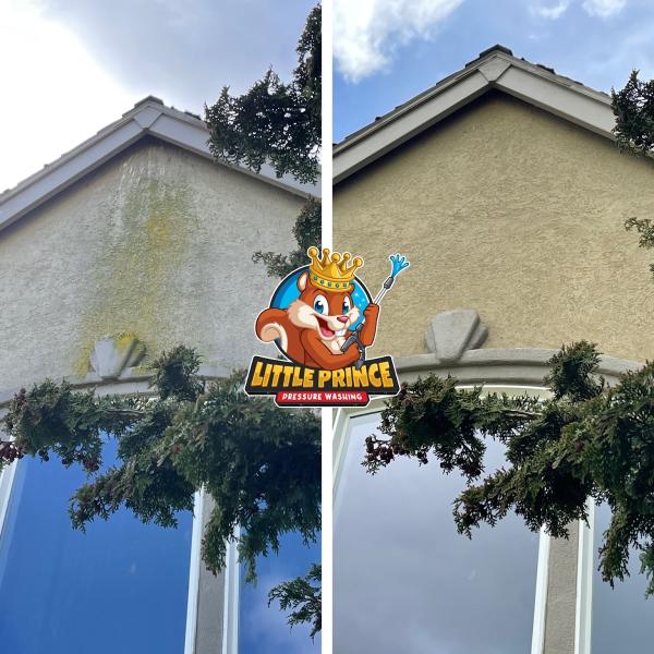 Little Prince Pressure Washing