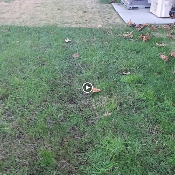 Master Fence