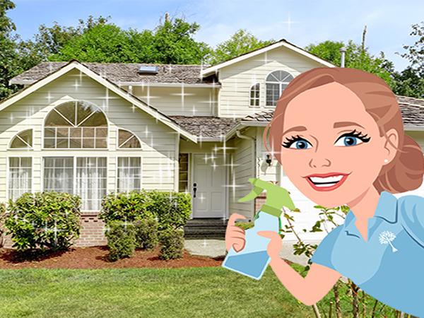 Greentree Cleaning Services