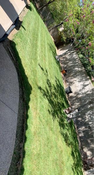 R&R Tree Trimming & Grounds Maintenance
