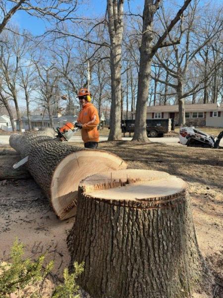 Epic Tree Care
