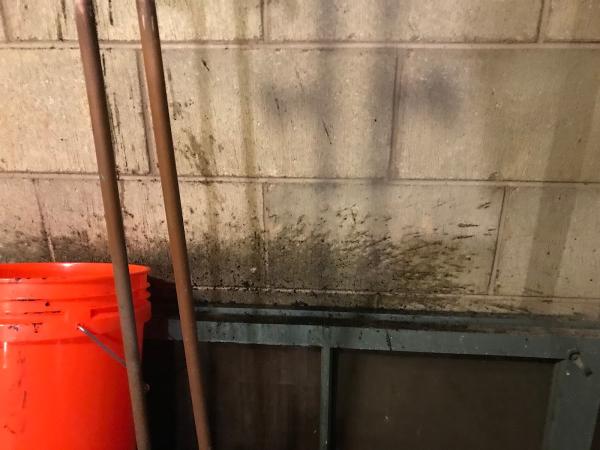 Milw Drain Cleaning