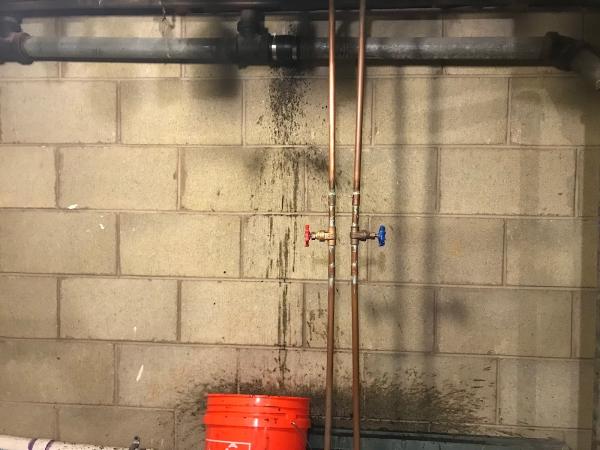 Milw Drain Cleaning