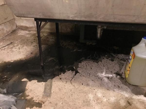 Milw Drain Cleaning