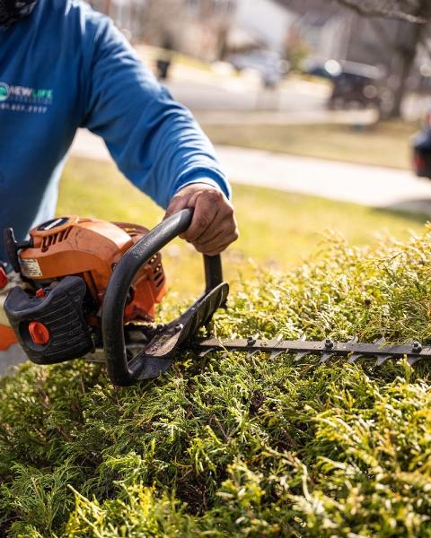 New Life Landscaping & Contracting