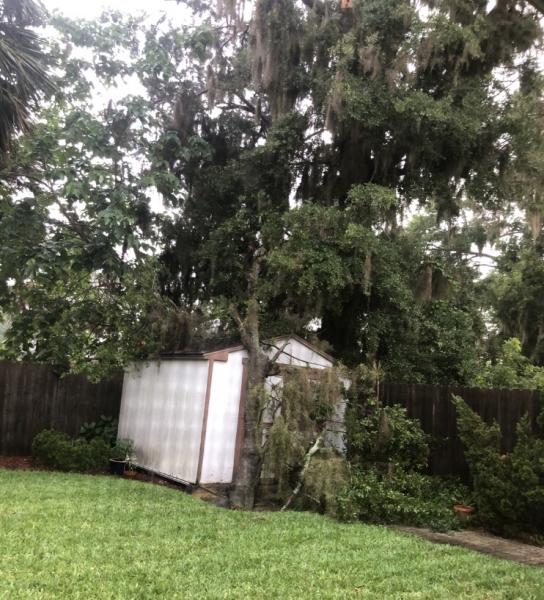 Genesis Tree Care
