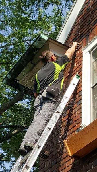 Reliant Pest Control
