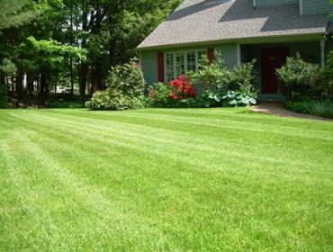 Epic Lawn Care & Pest Control