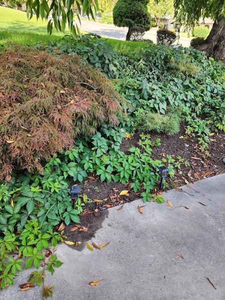 Epic Lawn Care & Pest Control