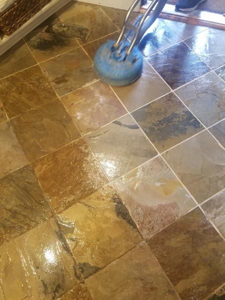 Ann Arbor Rug and Carpet Cleaning