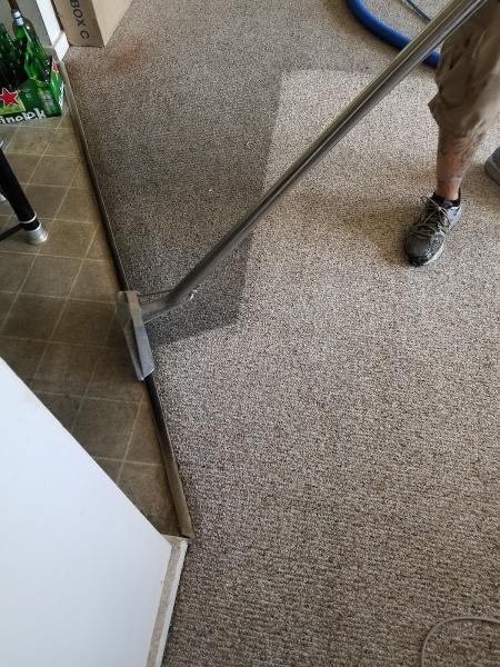 Ann Arbor Rug and Carpet Cleaning