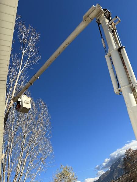 A Plus Affordable Tree Service