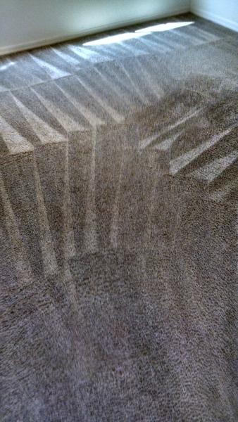 123 Carpet and Tile Cleaning