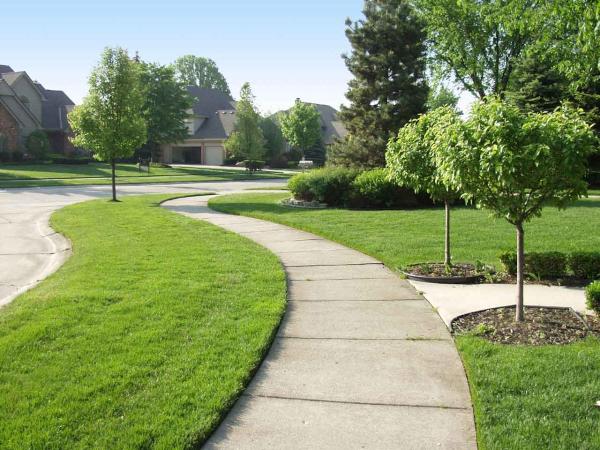 New Leaf Landscape Design and Maintenance