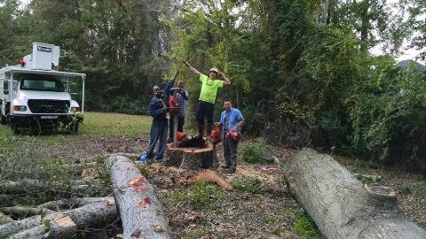 Hultgren Tree Service