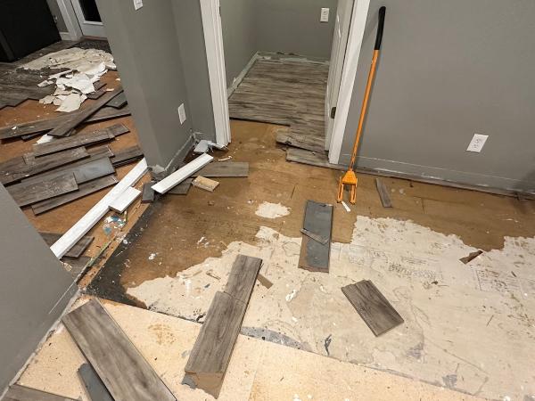 Quick Dry Restoration CDA