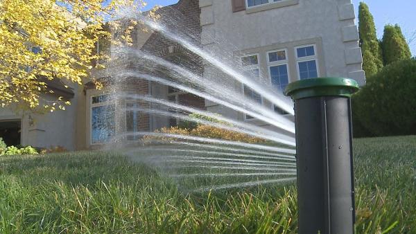 Irrigreen