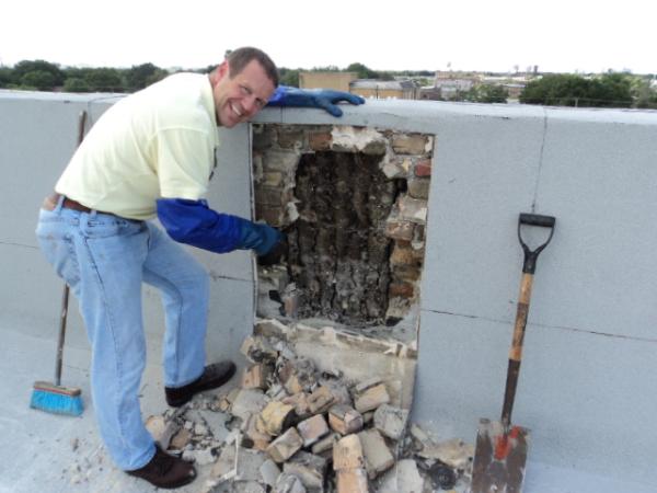 Insect IQ & All Florida Bee Removal