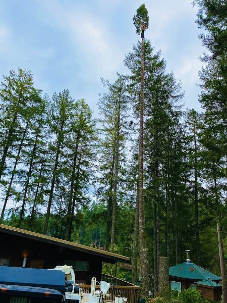 Prusik Contracting Tree Service