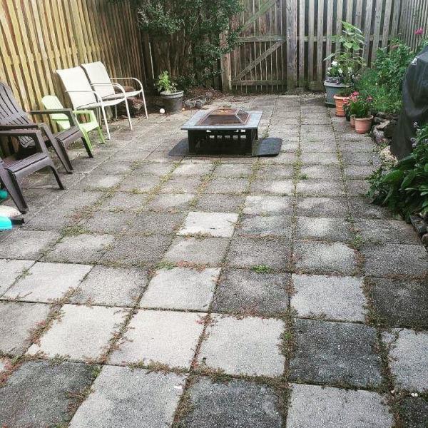 Mr. Fig's Power Wash