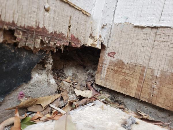 Rodent Retreat