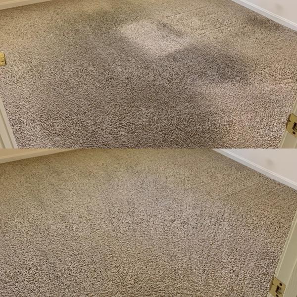 Stat Carpet Cleaning