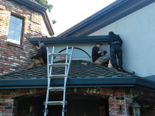 Diamond Rodent Proofing