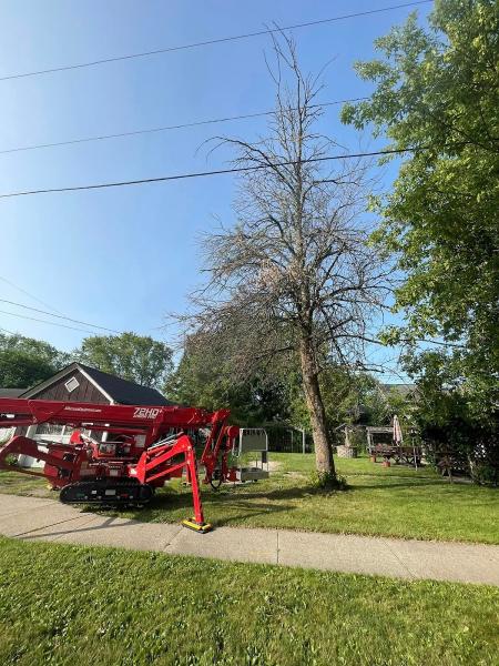 Parm's Tree Service