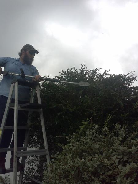 Green Sword Landscaping