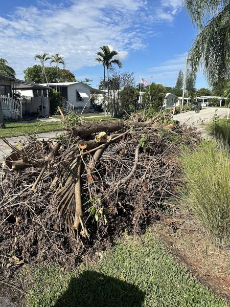 Call N Haul Junk Removal