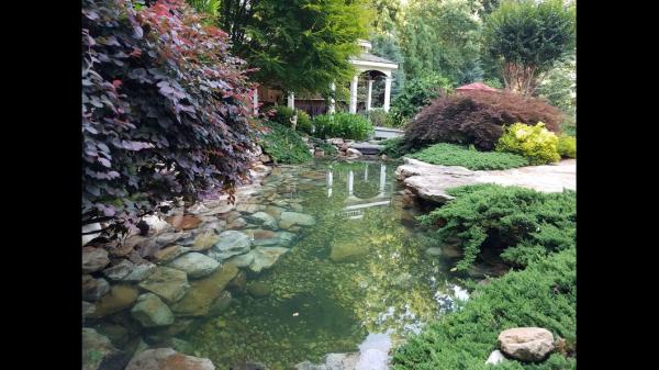 Elite Landscape Services