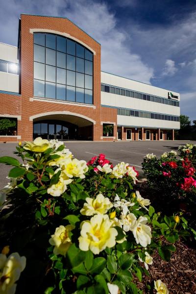 Wrangler Landscapes