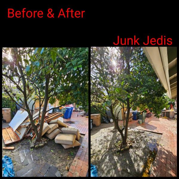 Junk Jedis