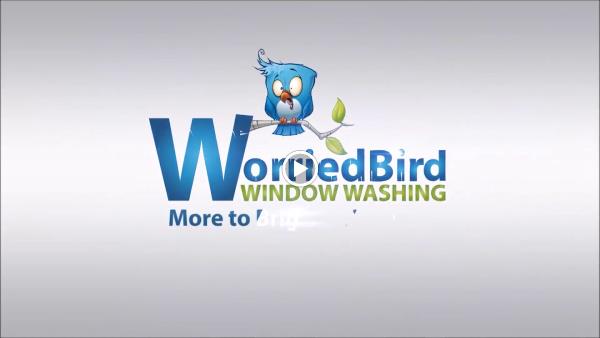 Worried Bird Window Washing