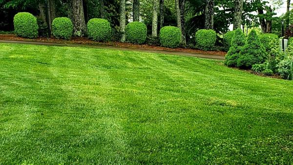 Arden-Fletcher Lawn Services