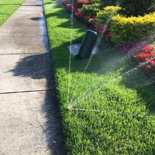 Castro Irrigation