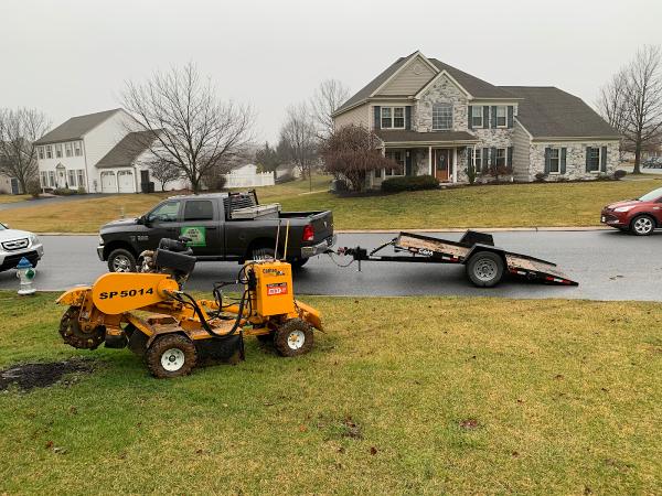 Love's Tree Service & Systems