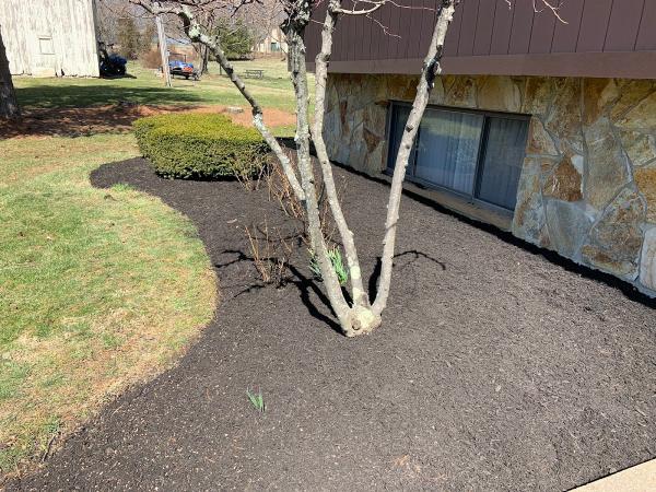 McClaskie Lawn Services