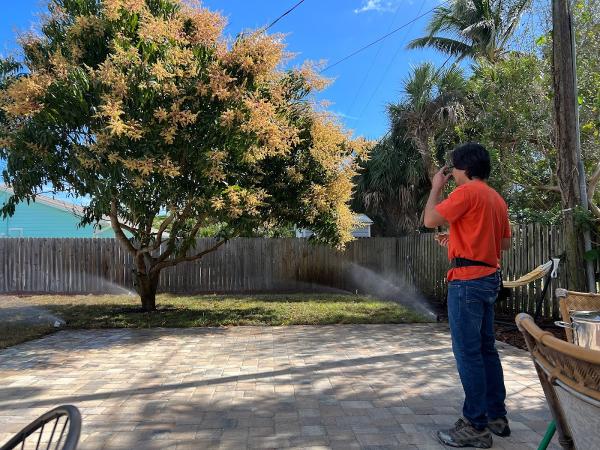 Triple D Grounds Maintenance Inc