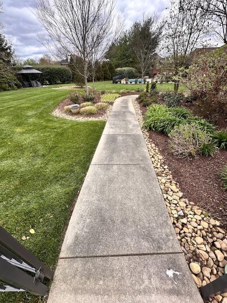 Armstrong Pressure Washing and Roof Cleaning
