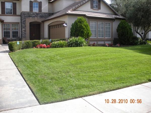 Vizcarra Lawn Service