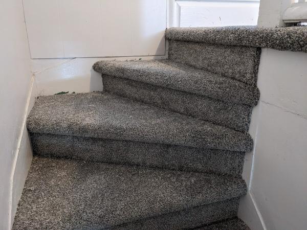 Carpet Villa