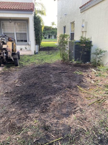 Green Planet Corp Tree Care & Landscape Design
