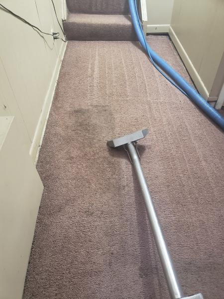 Slj Carpet Cleaning & Repairs