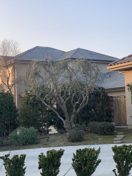 M & J Tree Service