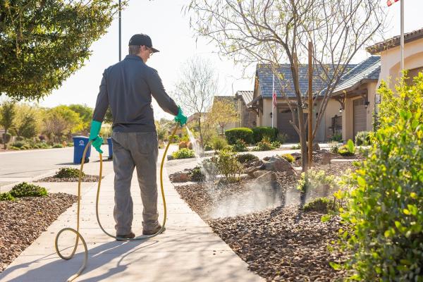 All Clear Pest Control