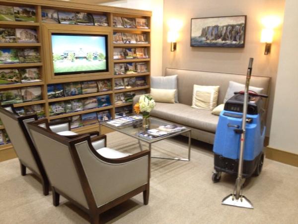 Tulip Carpet Cleaning