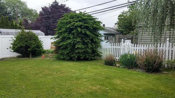 C&P Landscaping