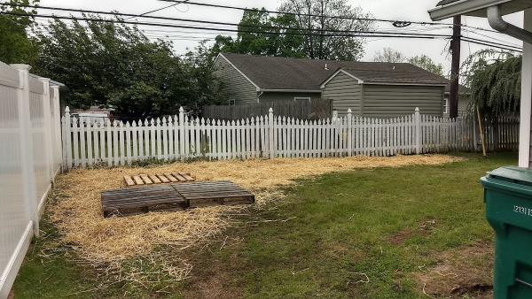 C&P Landscaping